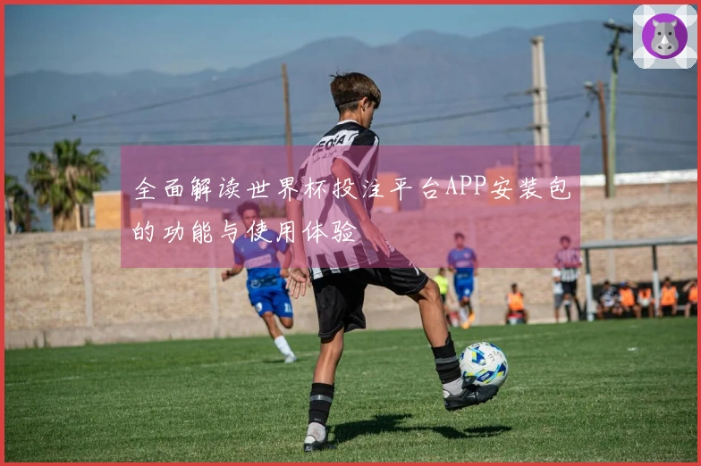 全面解读世界杯投注平台APP安装包的功能与使用体验