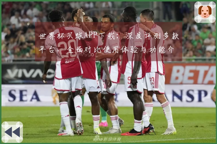 世界杯买球APP下载：深度评测多款平台，全面对比使用体验与功能介绍