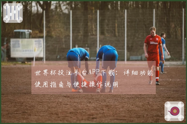 世界杯投注平台APP下载：详细功能使用指南与便捷操作说明