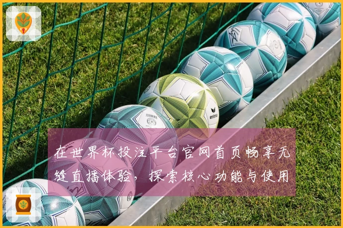在世界杯投注平台官网首页畅享无缝直播体验，探索核心功能与使用技巧