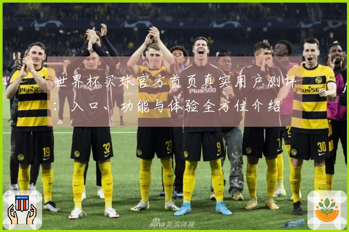 世界杯买球官方首页真实用户测评：入口、功能与体验全方位介绍