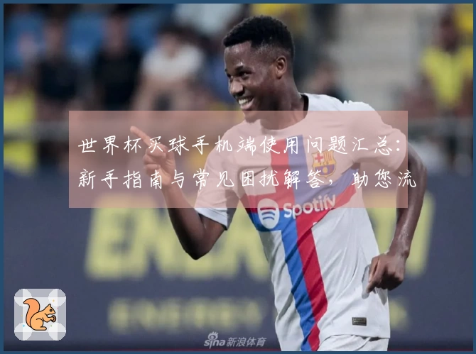 世界杯买球手机端使用问题汇总：新手指南与常见困扰解答，助您流畅体验