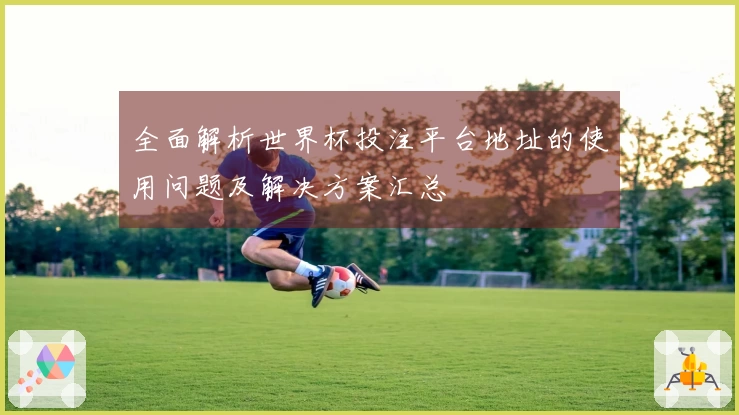 全面解析世界杯投注平台地址的使用问题及解决方案汇总