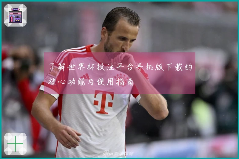 了解世界杯投注平台手机版下载的核心功能与使用指南
